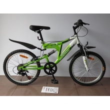 20" Steel Frame Mountain Bike (2003)